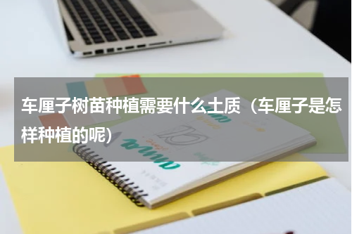 车厘子树苗种植需要什么土质（车厘子是怎样种植的呢）