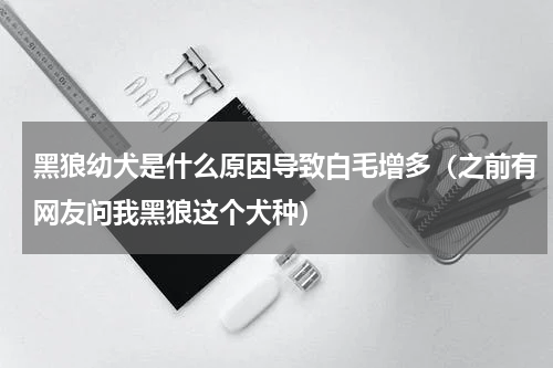 黑狼幼犬是什么原因导致白毛增多（之前有网友问我黑狼这个犬种）