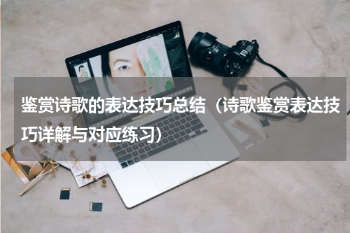 鉴赏诗歌的表达技巧总结（诗歌鉴赏表达技巧详解与对应练习）