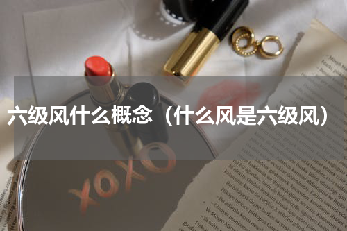 六级风什么概念（什么风是六级风）