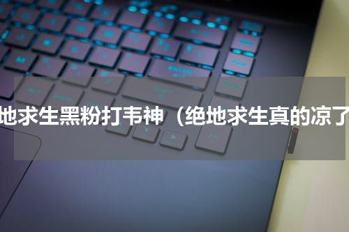绝地求生黑粉打韦神（绝地求生真的凉了）