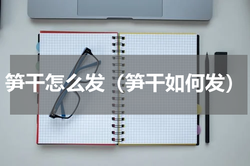 笋干怎么发（笋干如何发）