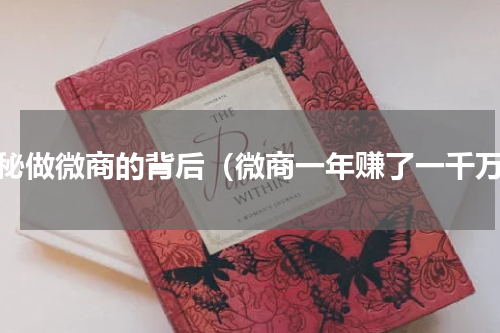 揭秘做微商的背后（微商一年赚了一千万）
