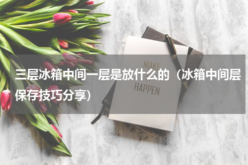 三层冰箱中间一层是放什么的（冰箱中间层保存技巧分享）