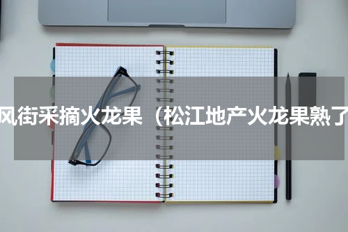 长风街采摘火龙果（松江地产火龙果熟了）