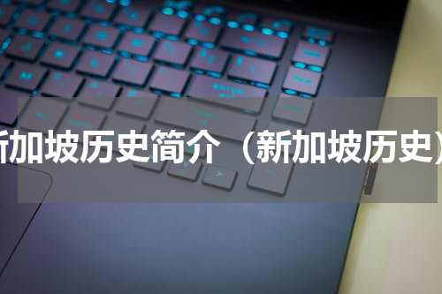新加坡历史简介（新加坡历史）
