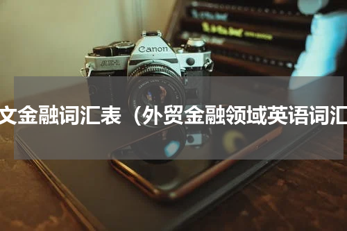 英文金融词汇表（外贸金融领域英语词汇）