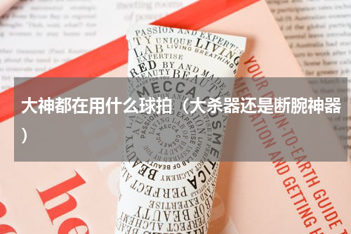 大神都在用什么球拍（大杀器还是断腕神器）