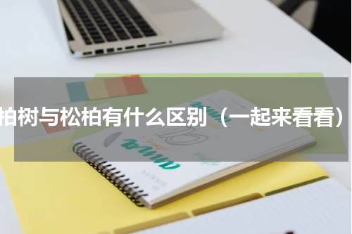 柏树与松柏有什么区别（一起来看看）