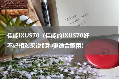 佳能IXUS70（佳能的IXUS70好不好相对来说那种更适合家用）