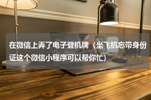 在微信上弄了电子登机牌（坐飞机忘带身份证这个微信小程序可以帮你忙）