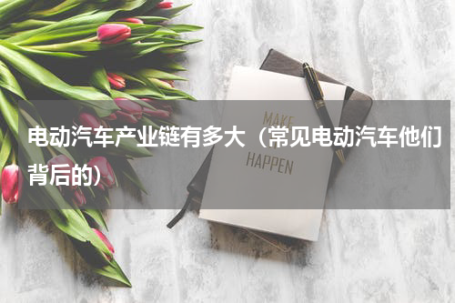 电动汽车产业链有多大（常见电动汽车他们背后的）