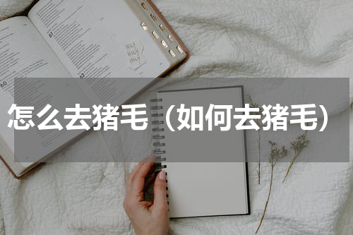 怎么去猪毛（如何去猪毛）