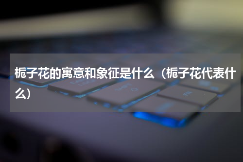 栀子花的寓意和象征是什么（栀子花代表什么）