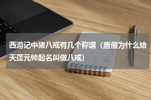 西游记中猪八戒有几个称谓（唐僧为什么给天蓬元帅起名叫做八戒）