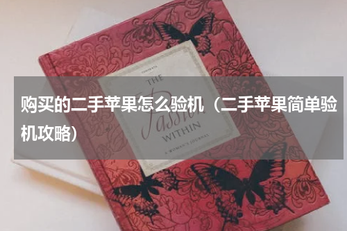 购买的二手苹果怎么验机（二手苹果简单验机攻略）