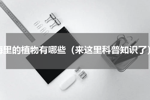 海里的植物有哪些（来这里科普知识了）