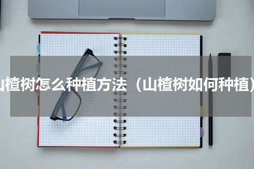 山楂树怎么种植方法（山楂树如何种植）