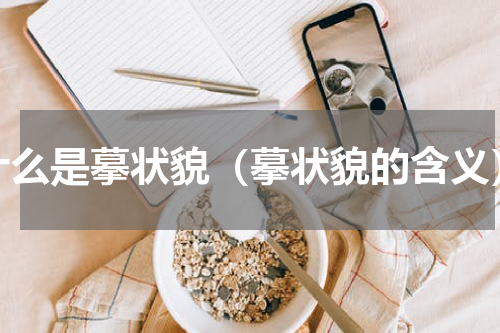 什么是摹状貌（摹状貌的含义）