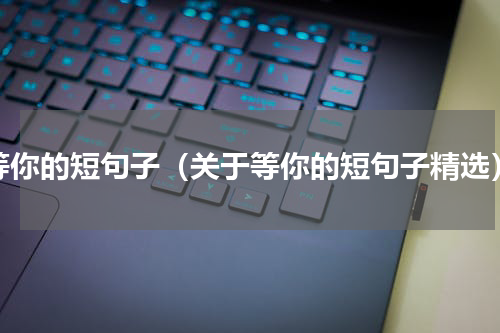 等你的短句子（关于等你的短句子精选）