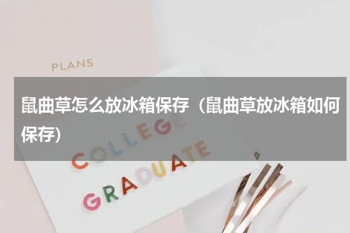 鼠曲草怎么放冰箱保存（鼠曲草放冰箱如何保存）