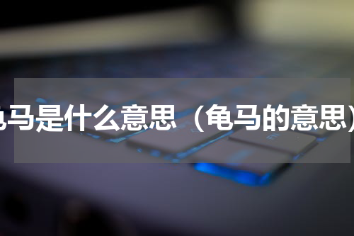 龟马是什么意思（龟马的意思）