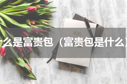 什么是富贵包（富贵包是什么）
