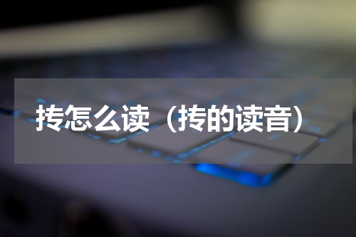 抟怎么读（抟的读音）