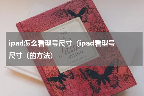 ipad怎么看型号尺寸（ipad看型号尺寸（的方法）