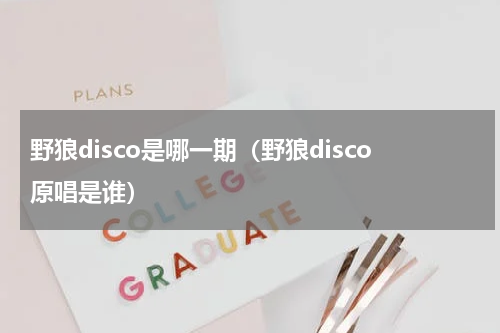 野狼disco是哪一期（野狼disco原唱是谁）