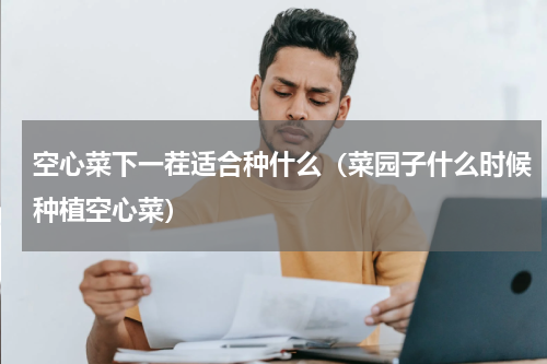 空心菜下一茬适合种什么（菜园子什么时候种植空心菜）