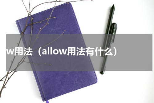 allow用法（allow用法有什么）