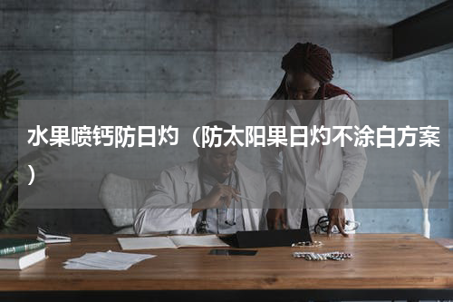 水果喷钙防日灼（防太阳果日灼不涂白方案）