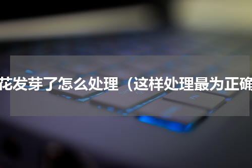 荷花发芽了怎么处理（这样处理最为正确）