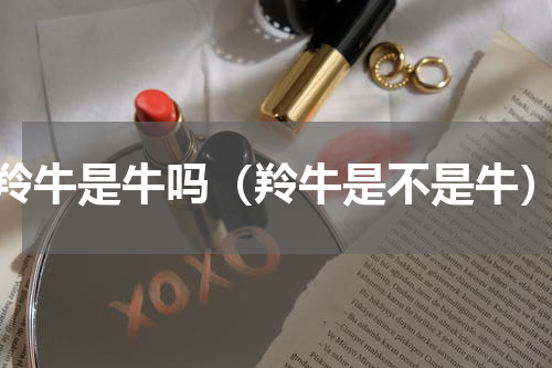 羚牛是牛吗（羚牛是不是牛）
