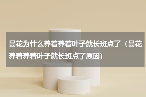 昙花为什么养着养着叶子就长斑点了（昙花养着养着叶子就长斑点了原因）
