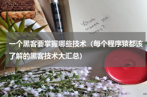 一个黑客要掌握哪些技术（每个程序猿都该了解的黑客技术大汇总）
