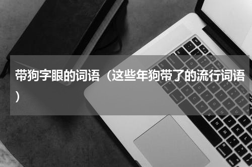 带狗字眼的词语（这些年狗带了的流行词语）