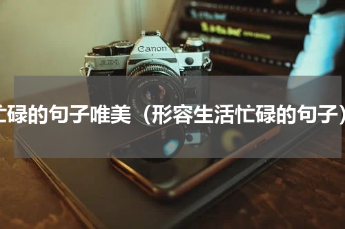 忙碌的句子唯美（形容生活忙碌的句子）