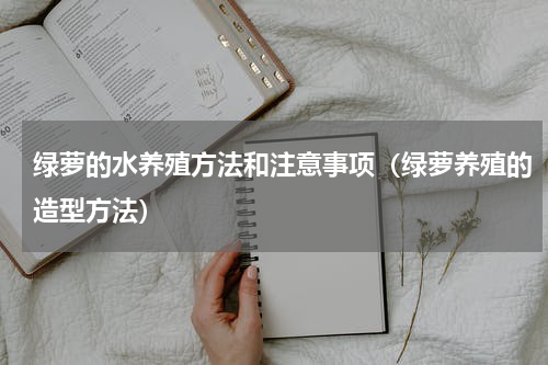绿萝的水养殖方法和注意事项（绿萝养殖的造型方法）