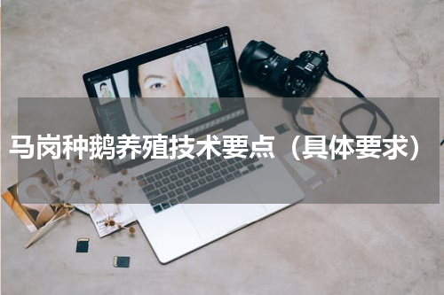 马岗种鹅养殖技术要点（具体要求）