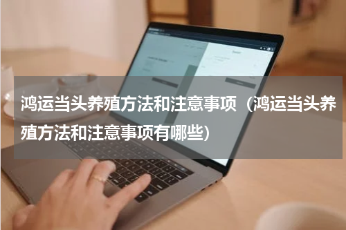 鸿运当头养殖方法和注意事项（鸿运当头养殖方法和注意事项有哪些）