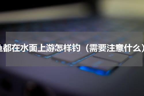 鱼都在水面上游怎样钓（需要注意什么）