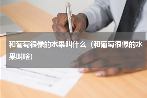 和葡萄很像的水果叫什么（和葡萄很像的水果叫啥）
