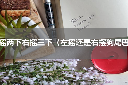 左摇两下右摇三下（左摇还是右摆狗尾巴）