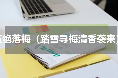 五绝落梅（踏雪寻梅清香袭来）