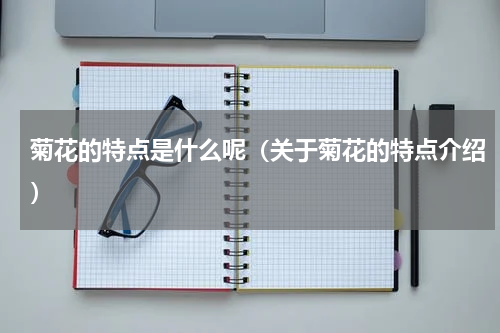 菊花的特点是什么呢（关于菊花的特点介绍）
