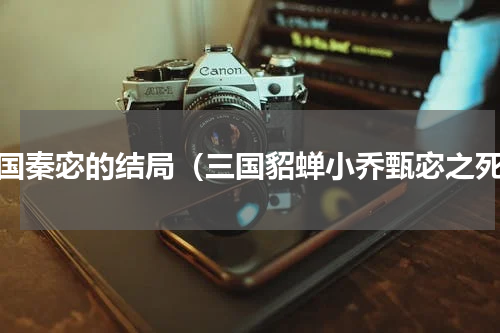 三国秦宓的结局（三国貂蝉小乔甄宓之死）