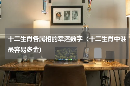 十二生肖各属相的幸运数字（十二生肖中谁最容易多金）