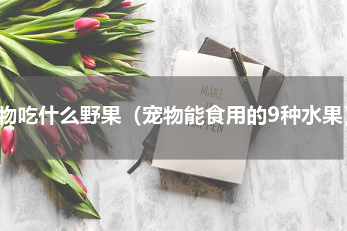 宠物吃什么野果（宠物能食用的9种水果）